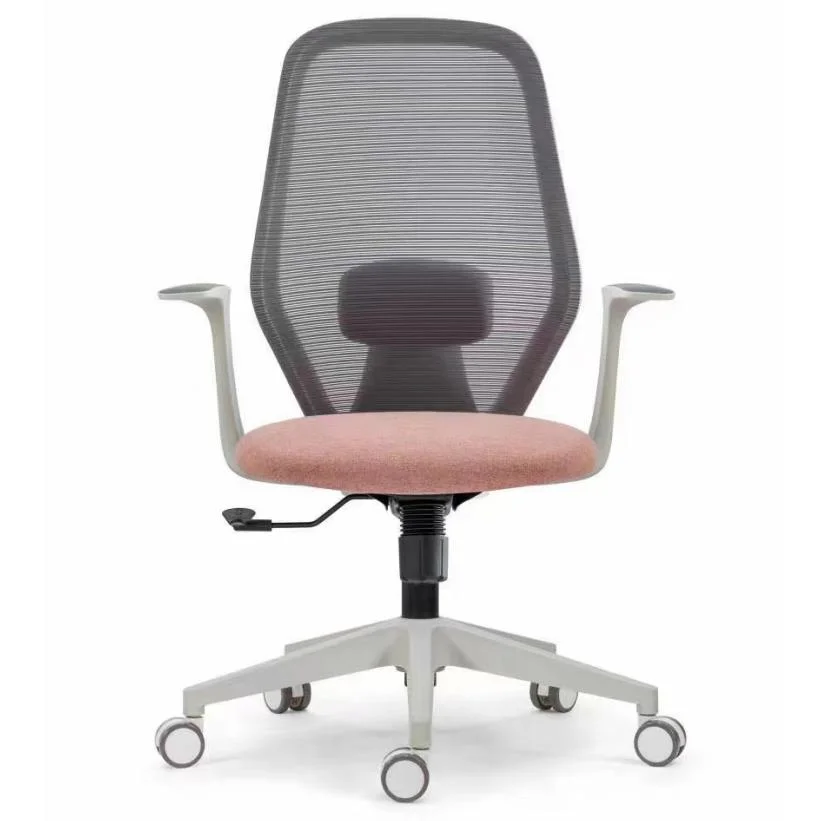 White Frame Middle Back Work Station Chair Modern Design New Clear Plastic Adjustable Chair Ergonomic Mesh Chair