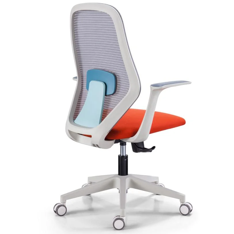 White Frame Middle Back Work Station Chair Modern Design New Clear Plastic Adjustable Chair Ergonomic Mesh Chair